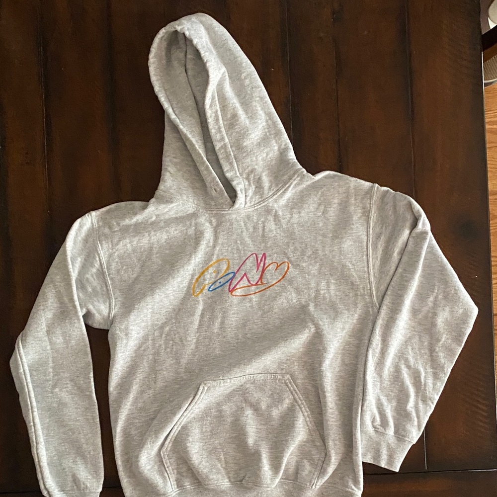 Gray Hoodie with Colorful Logo